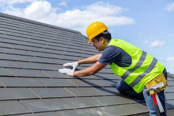 Best Roof Gutter Cleaning  in La Puebla, NM