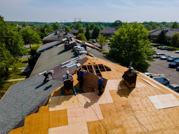 Best Storm Damage Roof Repair  in La Puebla, NM